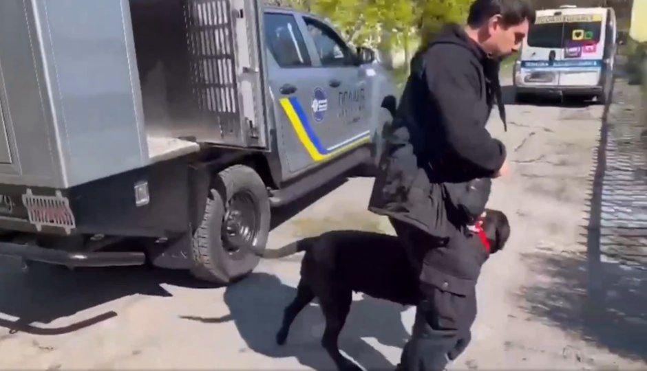 Правоохоронці вилучили з розплідника собак, які покусали жінку та дитину в Михайлівці-Рубежівці