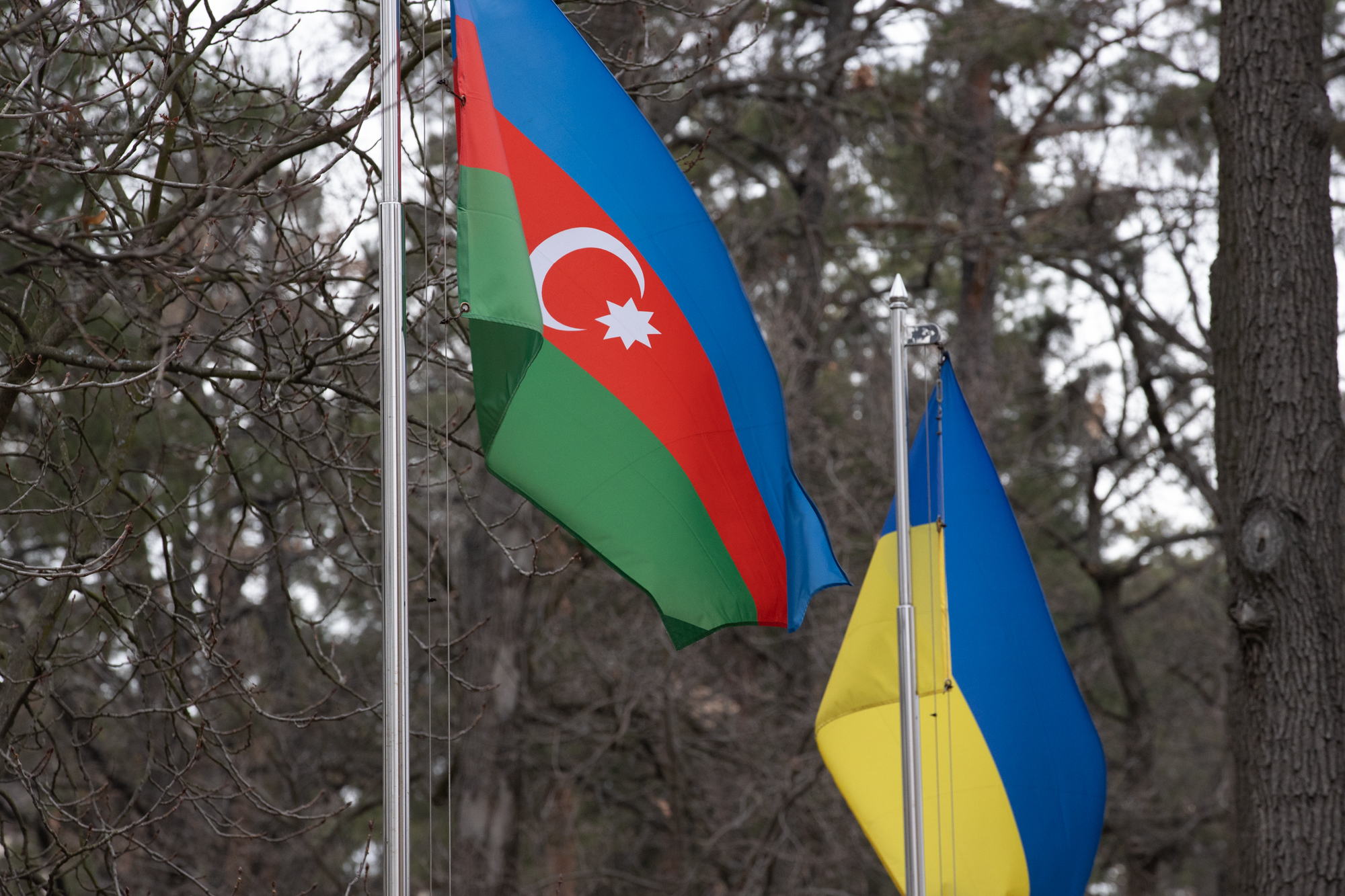 Азербайджан виділив ще понад 7,5 мільйонів доларів на гуманітарну допомогу Україні